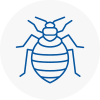 Bed Bug Extermination In West Lothian