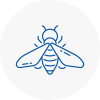 Bee Nest Removal West Lothian