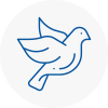 Bird Prevention West Lothian