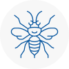 West Lothian Hornet Nest Removals