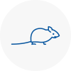 Mice Exterminators In West Lothian