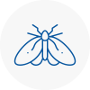 Moth Control Specialists In West Lothian