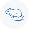 Rat Control West Lothian