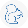 West Lothian Rodent Removals